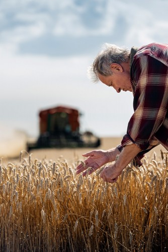 Stockage de materi&egrave;le en vrac