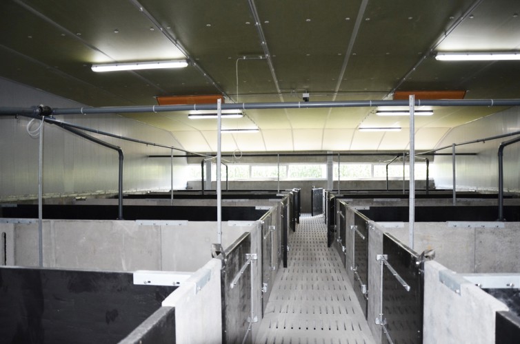 Organização dos cubículos